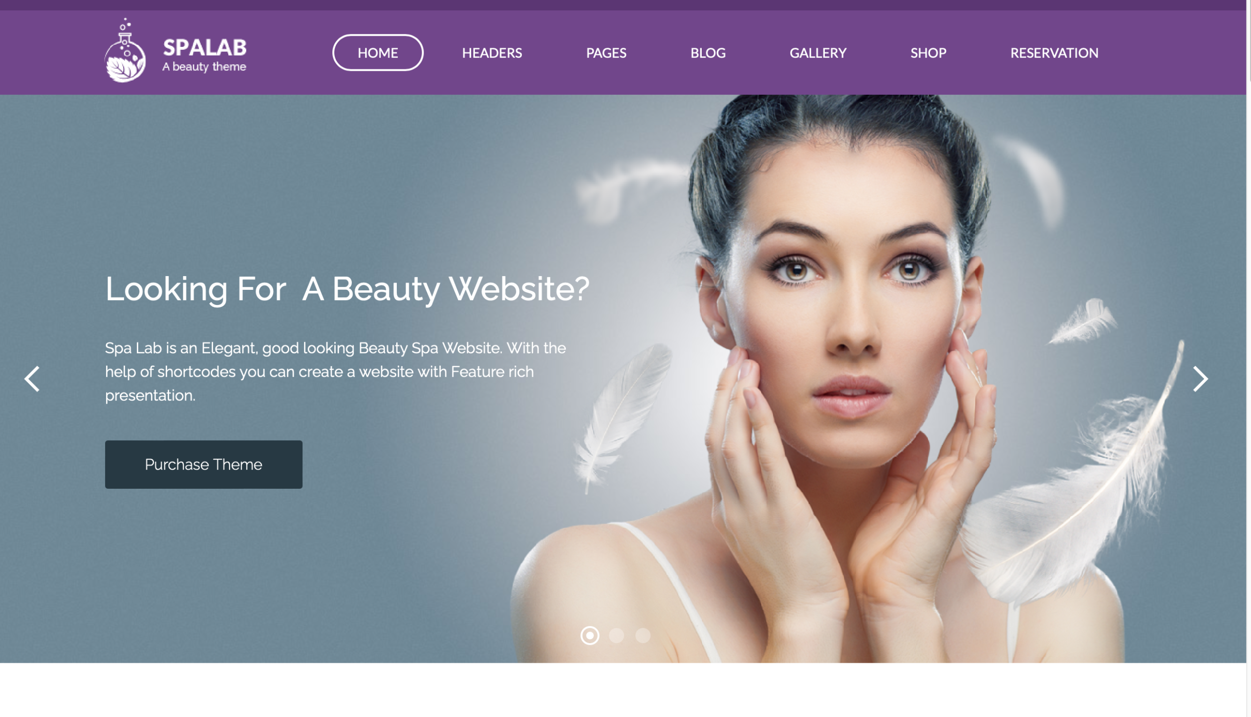 Salon Web Scaled